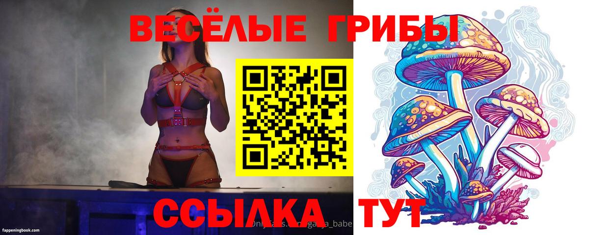 Псилоцибиновые грибы ЛСД Красный Сулин