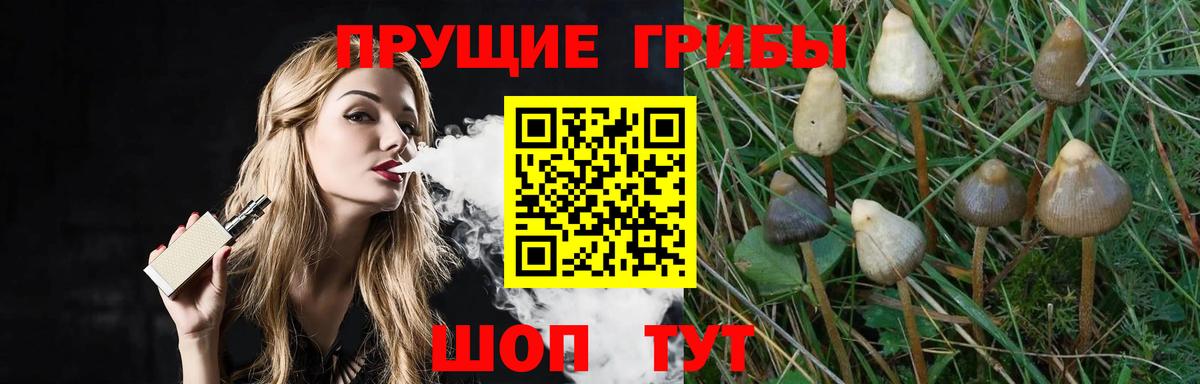 Красный Сулин  Псилоцибиновые грибы GOLDEN TEACHER  Вход с VPN 
